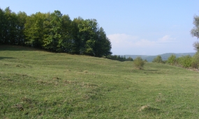 Peisaj împrejurimi municipiul Moreni